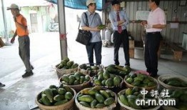 大竹吃瓜最新事件爆料新闻,揭秘最新事件背后惊人真相