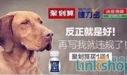狗狗最新爆料文案短句,宠物界的最新爆料短句集锦