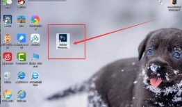 狼狗最新爆料网站下载安装