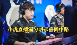 联盟最新爆料小虎是谁,神秘角色“小虎”身份揭晓，真相令人震惊！